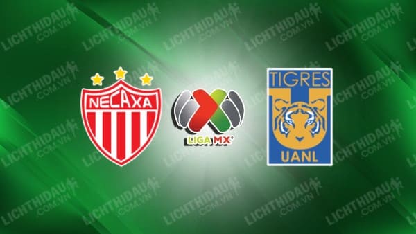 Trực tiếp Tigres UANL vs Necaxa, 08h00 ngày 21/4, vòng 16 VĐQG Mexico