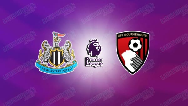 Video kết quả Newcastle vs Bournemouth, vòng 22 Ngoại hạng Anh