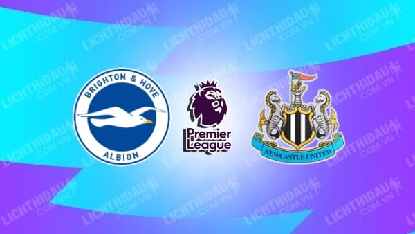 Link xem Brighton vs Newcastle, 20h00 ngày 04/05, vòng 35 Ngoại Hạng Anh