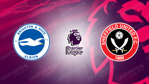 NHẬN ĐỊNH SOI KÈO BRIGHTON VS SHEFFIELD UNITED, 21H00 NGÀY 12/11