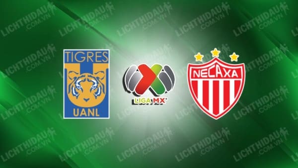 Link xem Tigres UANL vs Necaxa, 10h10 ngày 12/5, Tứ kết lượt về VĐQG Mexico